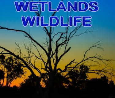 Wetlands Wildlife (2022)