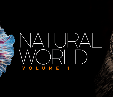 Natural World: Volume I