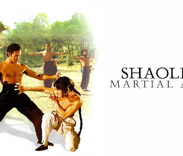 Shaolin Martial Arts (1974)