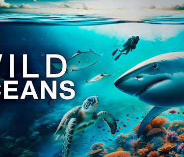 Wild Oceans (2025)