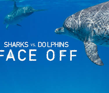 Sharks Vs Dolphins: Face Off (2016)