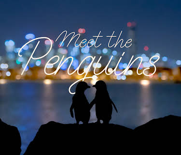 Meet the Penguins (2022)