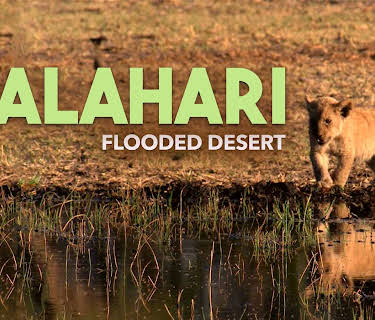 Kalahari: The Flooded Desert (2003)
