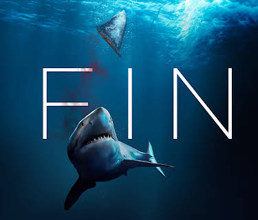 Fin