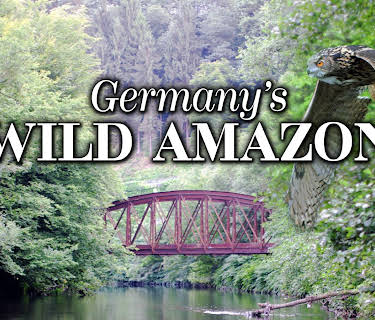 Germany's Wild Amazon (2017)