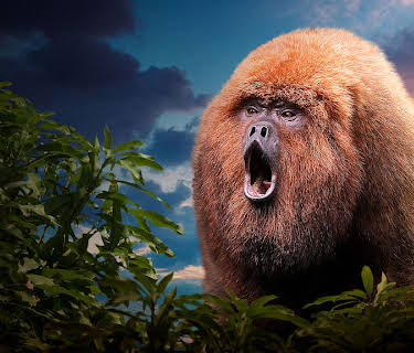 72 farlige dyr: Latin-Amerika