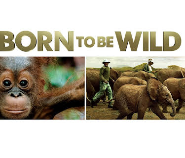IMAX Born to Be Wild (2011)