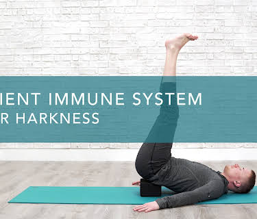 Resilient Immune System (2021)