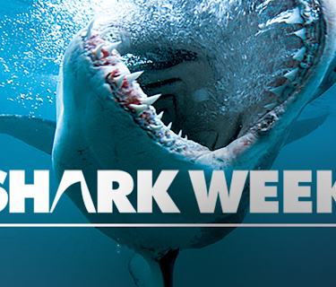 Shark Week: 20th Anniversary Collection