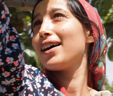 Under the Fig Trees (2023)