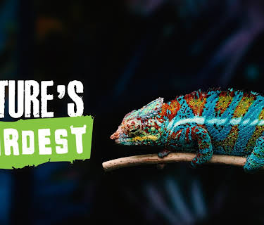 Nature’s Weirdest (2021)