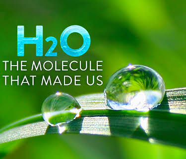 H2O: The Molecule That Made Us: Season 1
