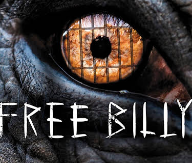 Free Billy (2021)