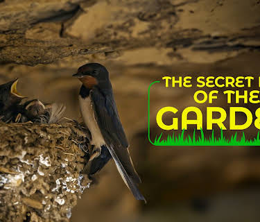 The Secret Life of the Garden (2024)