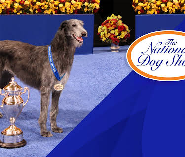 The National Dog Show (2021) (2026)
