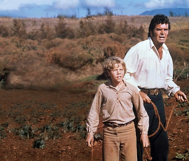 The Castaway Cowboy (1974)