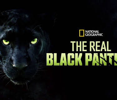 The Real Black Panther (2020)
