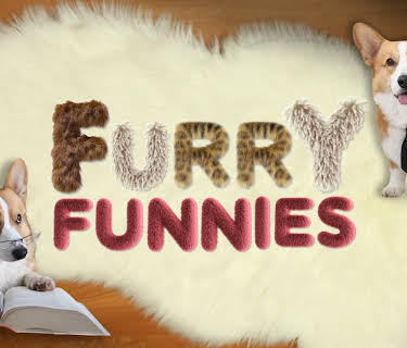 Furry Funnies: Animal & Pet Videos