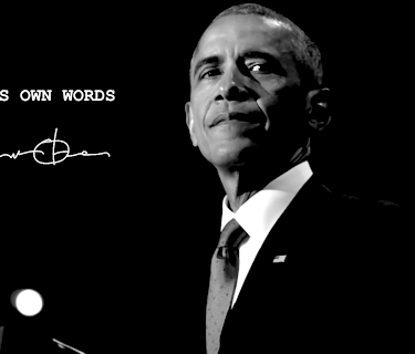 In His Own Words - Barack Obama (2017)