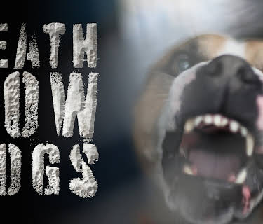 Death Row Dogs (2008)