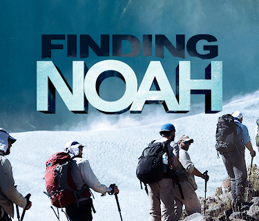 Finding Noah (2016)