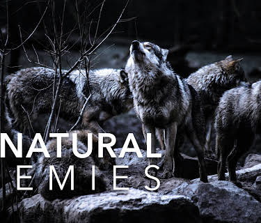 Unnatural Enemies: The War On Wolves (2026)