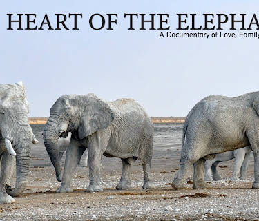 The Heart of the Elephant (2019)