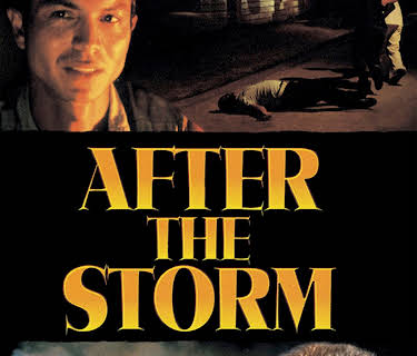 After The Storm (2003)