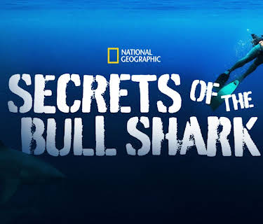 Secrets of the Bull Shark (2020)