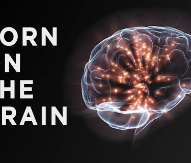 Porn on the Brain (2013)