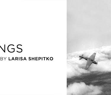 Wings (1996)