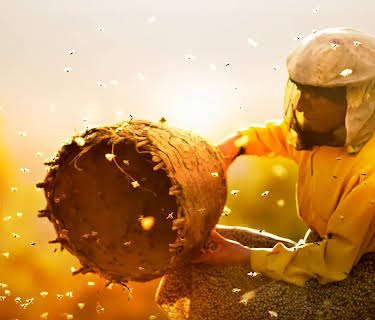 Honeyland (2019)