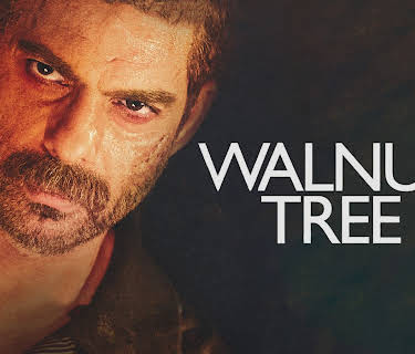 Walnut Tree (2022)