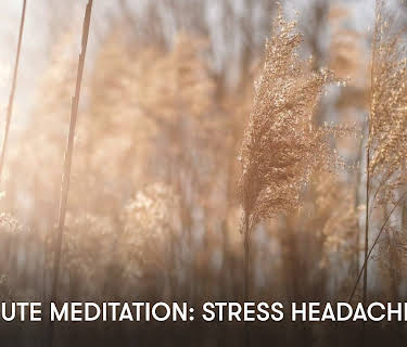10 Minute Meditation: Stress Headache (2023)