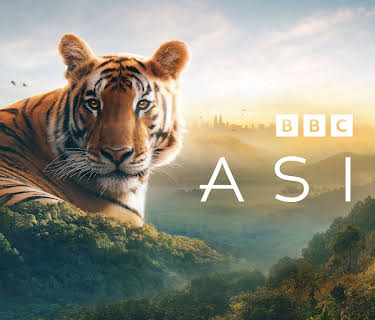 Asia, Season 1