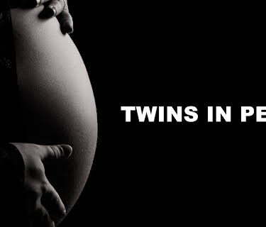 Twins In Peril (2004)