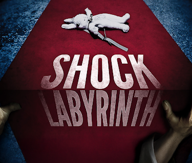 Shock Labyrinth (2012)