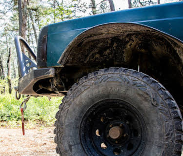 Pine Mud (2022)