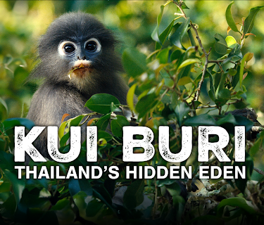 Kui Buri: Thailand's Hidden Eden (2025)
