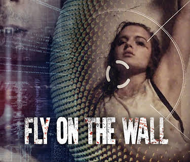 Fly on the Wall (2018)
