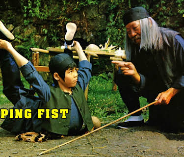 Sleeping Fist (1979)