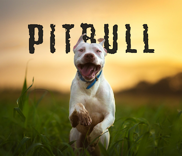 Pitbull (2018)