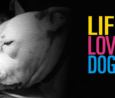Life Love Dogs (2019)