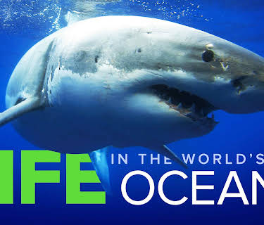 Life in the World's Oceans