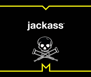 Jackass, Seasons 1-4 Season 1