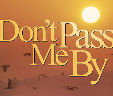 Don't Pass Me by (2013)