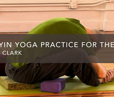 Mini Yin Yoga Practice for the Spine (2007)