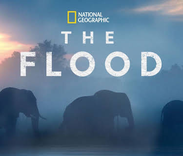 The Flood (2018)