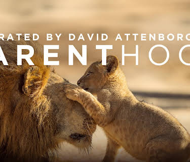 Parenthood, Season 1