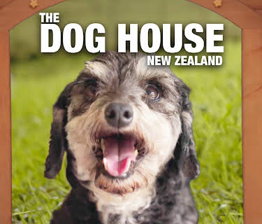 The Dog House New Zealand